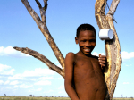 Bushman©Fiona Watson:Survival_0.png Bushman©Fiona Watson:Survival_0.png