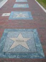 Allée des stars latinos, Calle 8, Miami