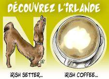 irlande.jpg