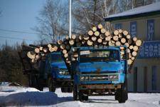 Les camions d'arbres à Xia Xing An Ling