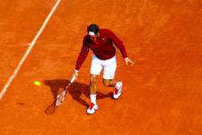 R. Federer, RG 2011