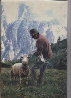 Mon père lors de sa dernière transhumance