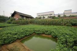 A Leshan