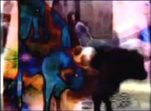  Alain BOURGES, L'enlèvement d'Europe,2004  (vidéo)