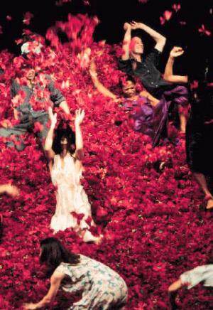 pina-bausch_bale.jpg