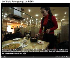 Portfolio accessible dans l'article