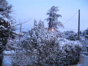 allée sous la neige