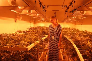 Toni Fox, à la tête du 3D Cannabis Center.