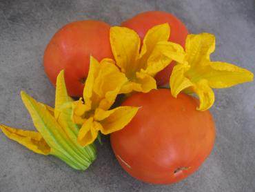 tomates et fleurs de courgettes 