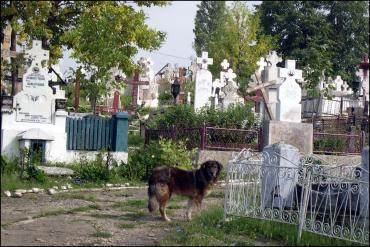 Mioveni