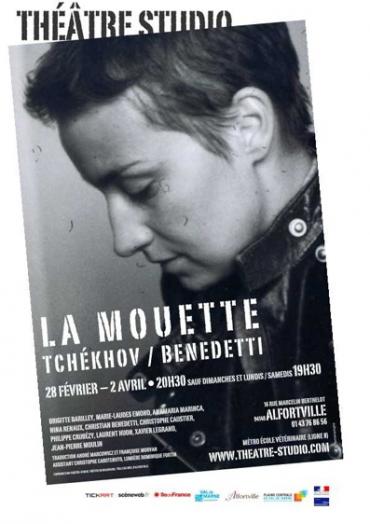 http://static.mediapart.fr/files/imagecache/370_pixels/media_77342/vignettemouette.jpg