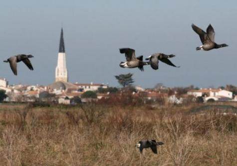 Et si Ars-en-Ré devenait un Colombey-les-Deux-Églises de gauche&nbsp;?...