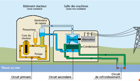 Schéma du fonctionnement d'une centrale nucléaire (EDF)
