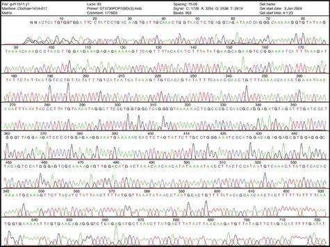 genome4.jpg