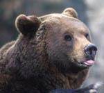 ours