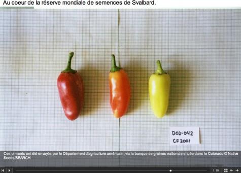 Portfolio sonore accessible dans l'article