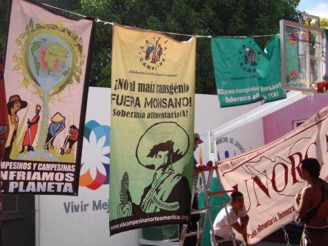 Drapeaux au forum de la Via Campesina