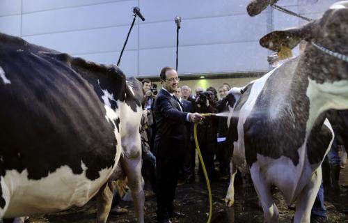 Est-ce ainsi que les hommes peignent la girafe ?