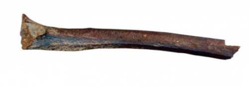 Le fémur d'Ust'-Ishim Le fémur d'Ust'-Ishim