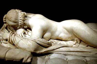 Hermaphrodite (de face)