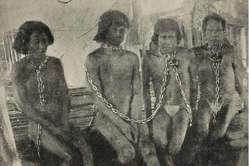 Caoutchouc = martyre des indiens (©W Hardenburg) 