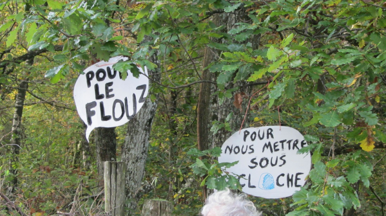 Manifestation contre le Center Parcs de Roybon (Isère), 20 octobre 2014 (Pcscp).