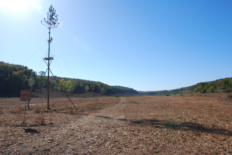 La zone humide du Testet, après déboisement, 31 octobre 2014 (JL).