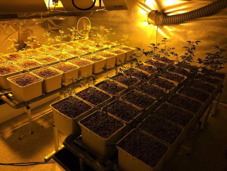 Une installation de 316 pieds découverte par les gendarmes dans les Bouches-du-Rhône en avril 2014. Une installation de 316 pieds découverte par les gendarmes dans les Bouches-du-Rhône en avril 2014.