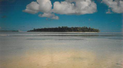 L'île d'Arros L'île d'Arros