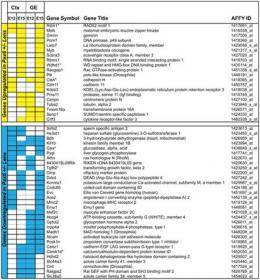Liste de gènes epxrimés ou réprimés, sous influence de pax, dans la région de l'oeil présomptif (vs cortex) Liste de gènes epxrimés ou réprimés, sous influence de pax, dans la région de l'oeil présomptif (vs cortex)