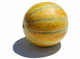 melon melon