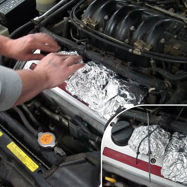 Car-b-que