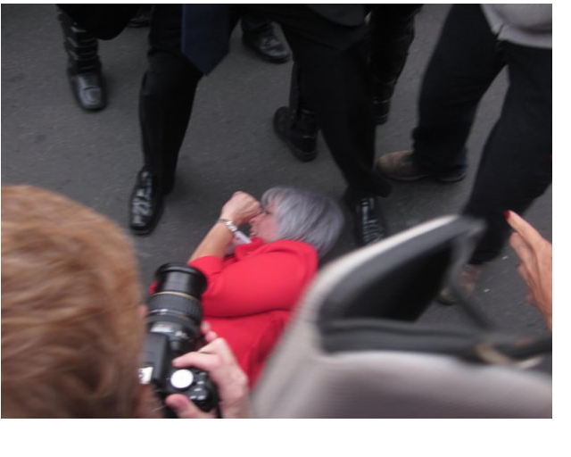 Une député à terre