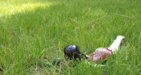 Installation d'Akiko Okumura pour Spreading Out