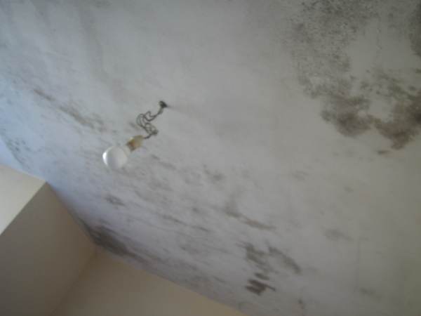 Plafond de la cuisine du Hau Fay, dégradé par des infiltrations d'eau