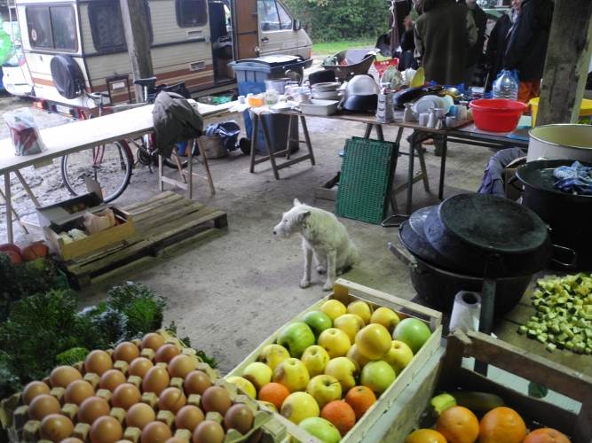 Cuisine improvisée à l'ACIPA