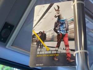 Racisme antijeune?