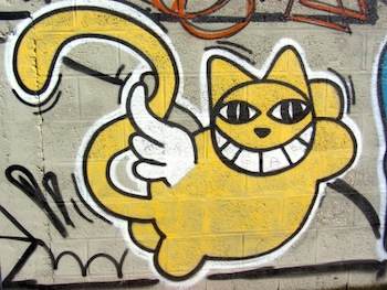 Le chat a gagné Le chat a gagné