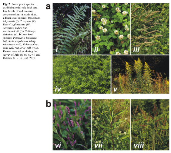 Quelques<br /><br />
espèces récoltées parmi les 99 autres. Quelques espèces récoltées parmi les 99 autres.