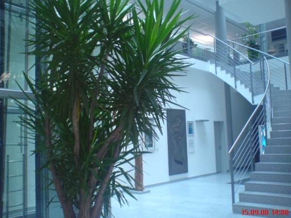 Hall Entrée PME