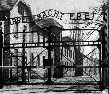 auschwitz.jpg