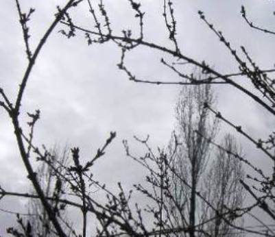 Décembre