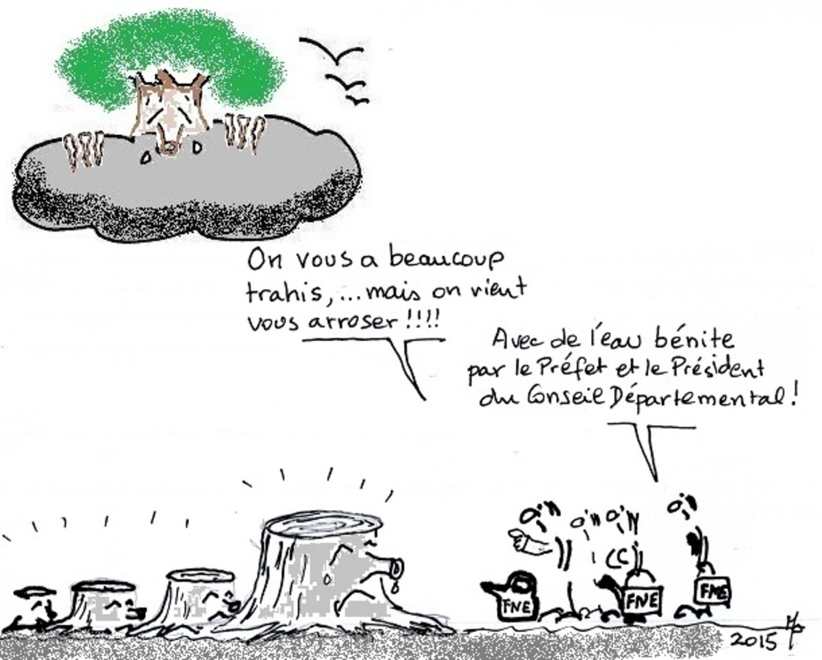 Illustration 1