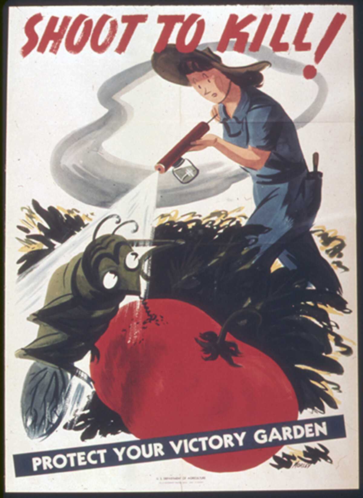 Illustration 1