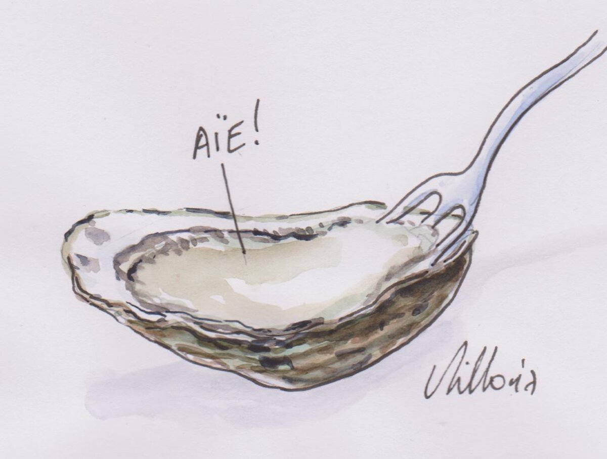 Illustration 1