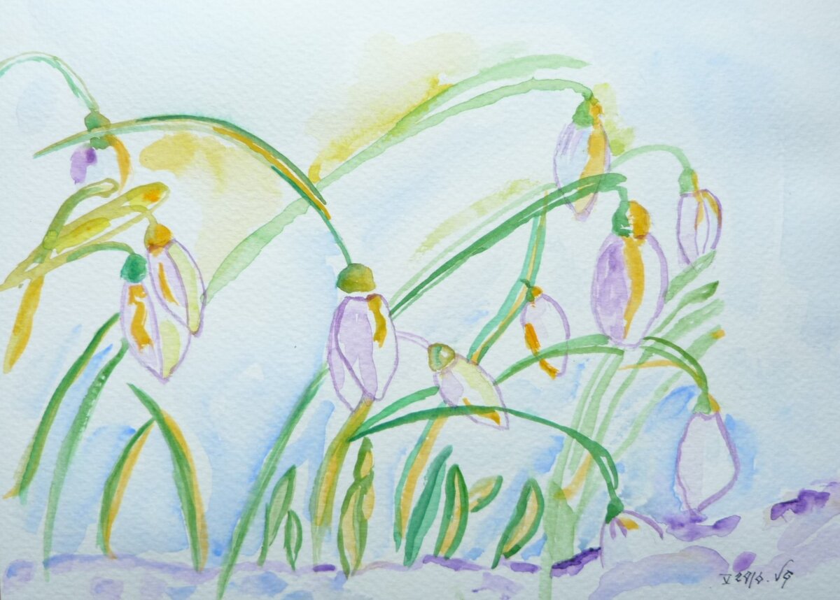 Illustration 1