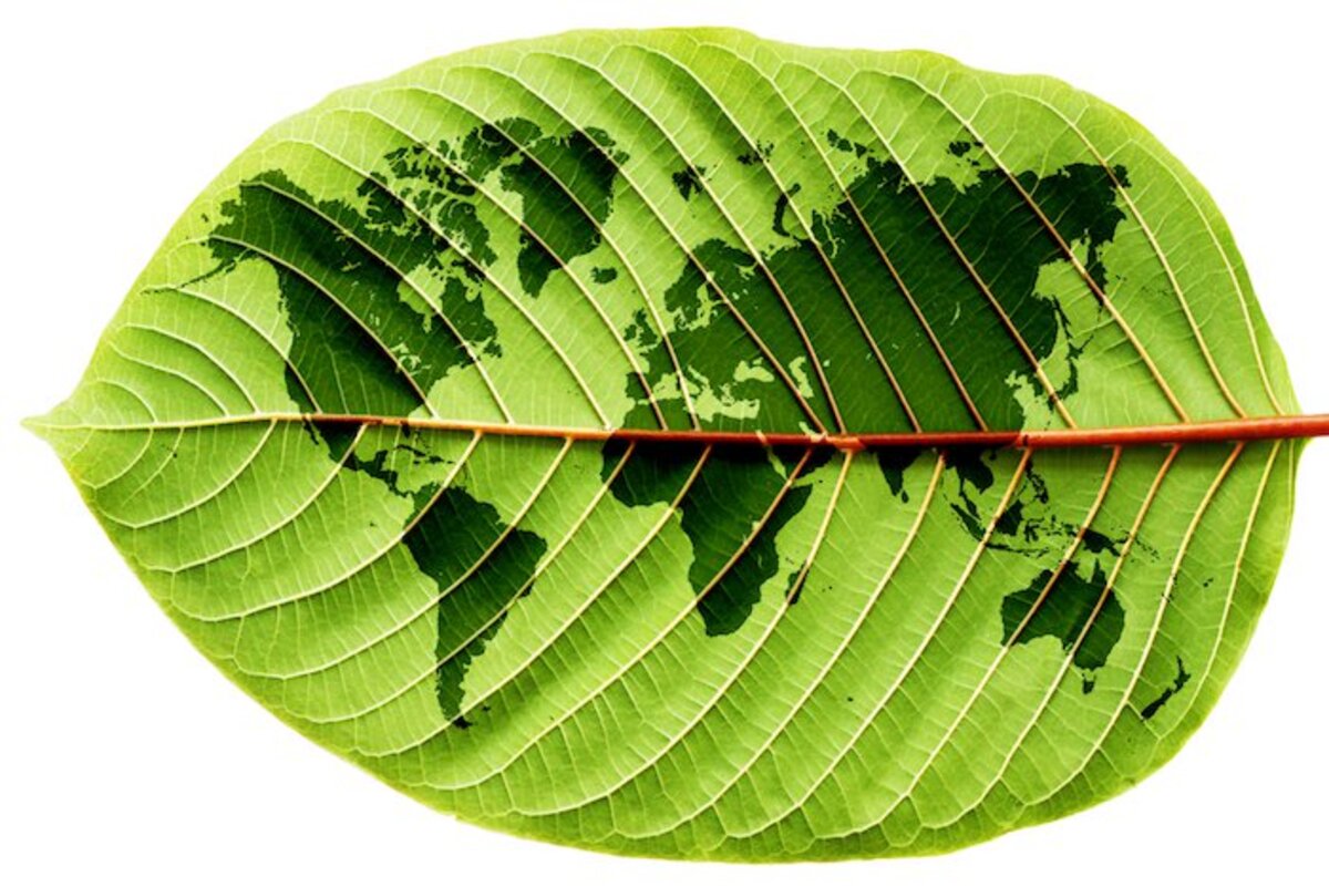 Illustration 1