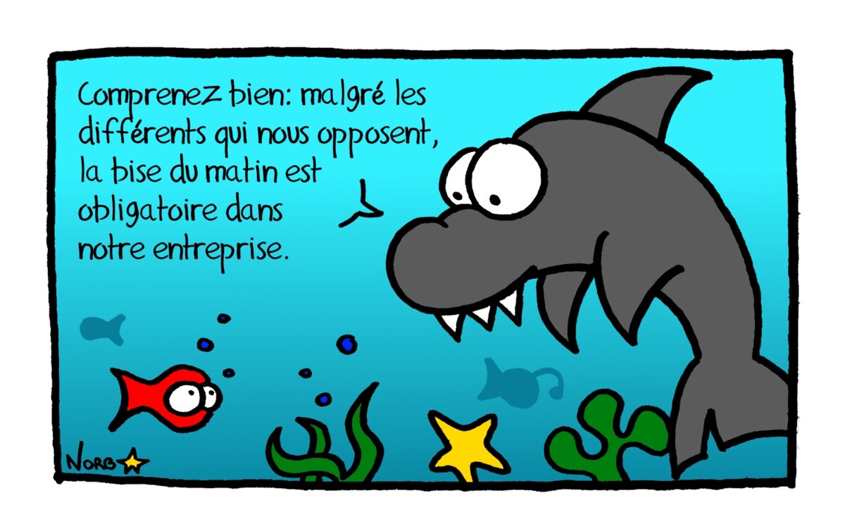 Illustration 1