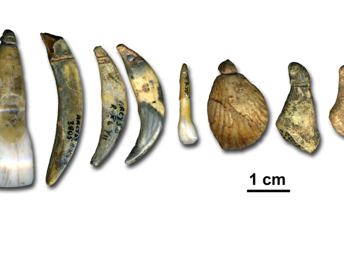 Illustration 1