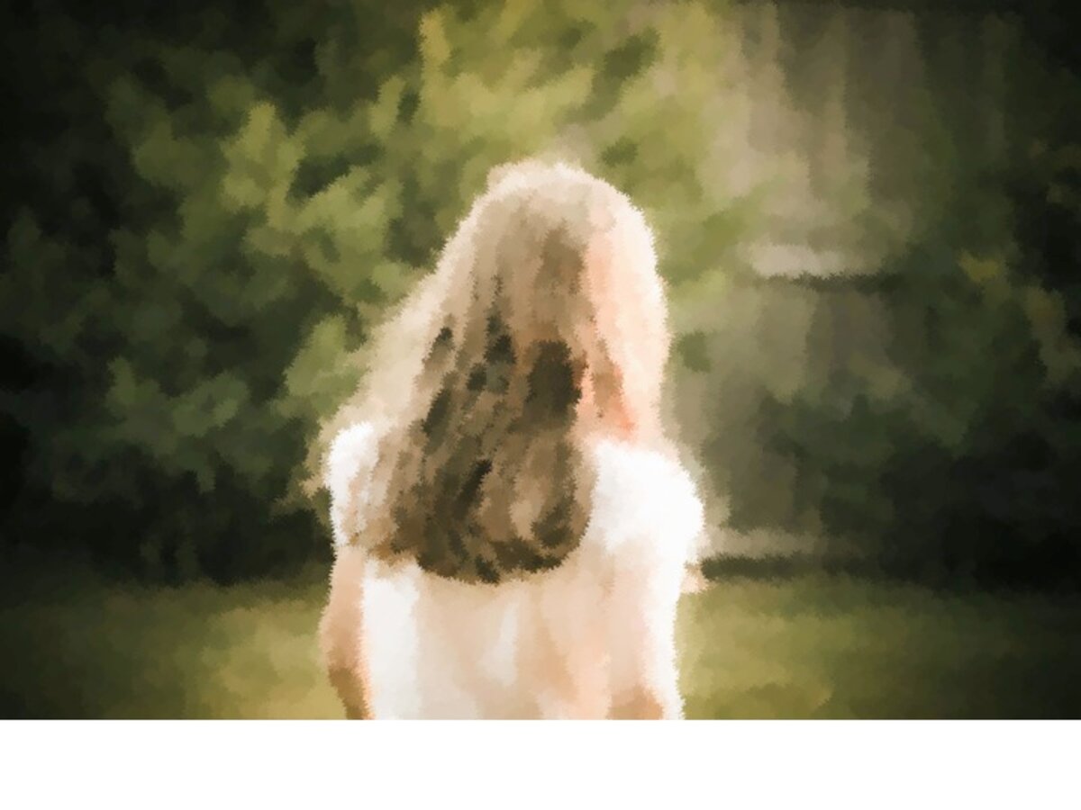 Illustration 1